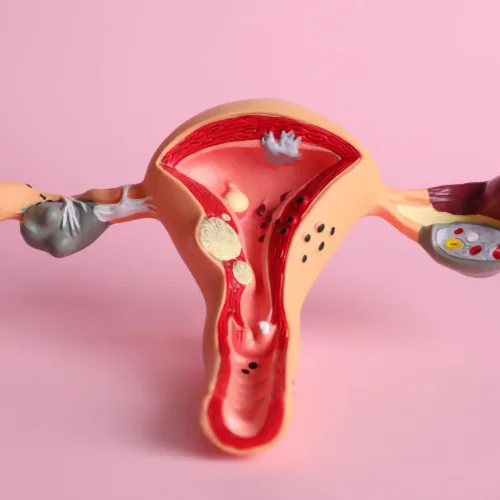 20 Essential Things Every Adult Should Know About Sex (Yes, Really!) Elizabeth Adewale
